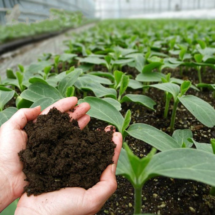 ������ϵ������